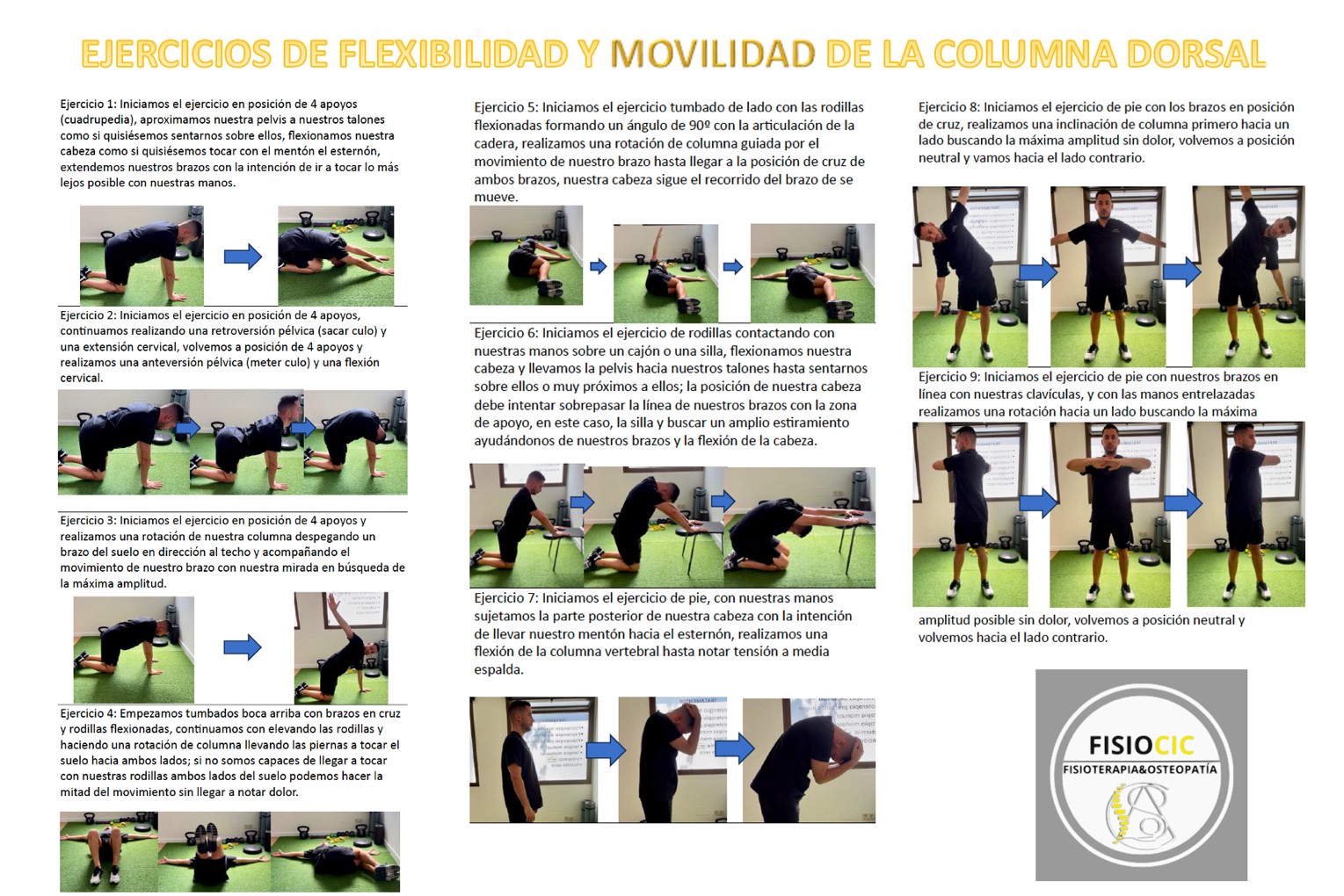 EJERCICIOS PARA ALIVIAR EL DOLOR DORSAL